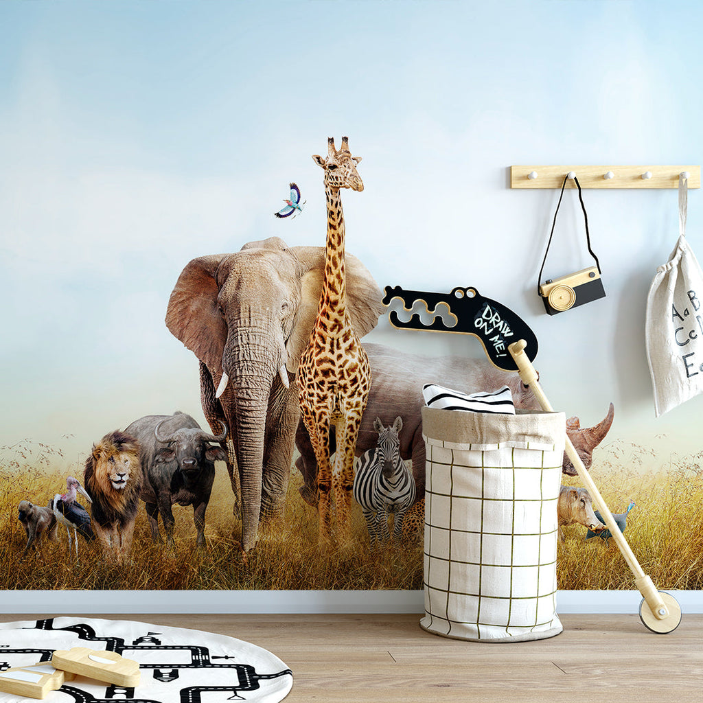 Kids Room 076 Wall Mural Wallpaper