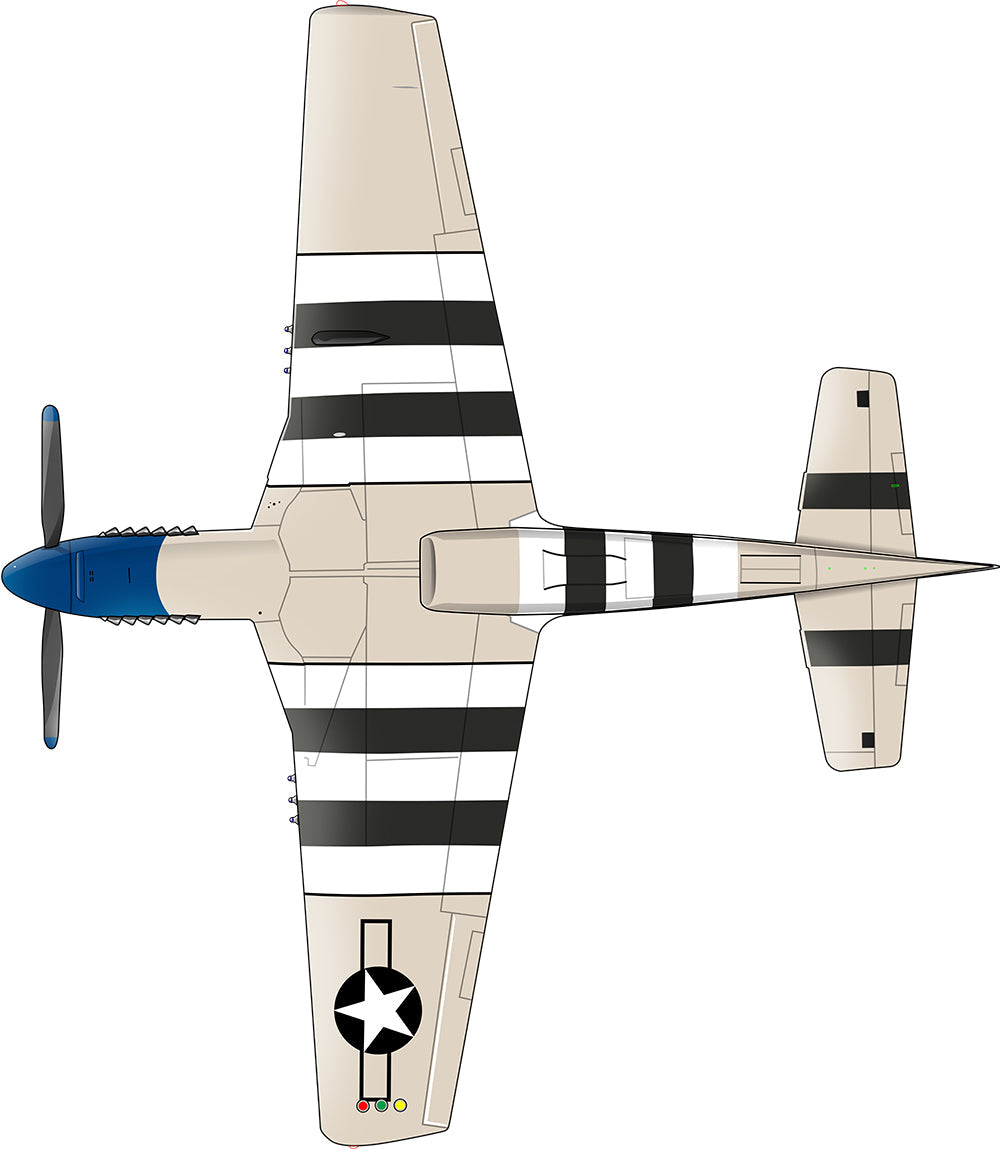 P-51D MUSTANG Blue Nose Underside Airplane Ceiling / Wall Art Wall Decal