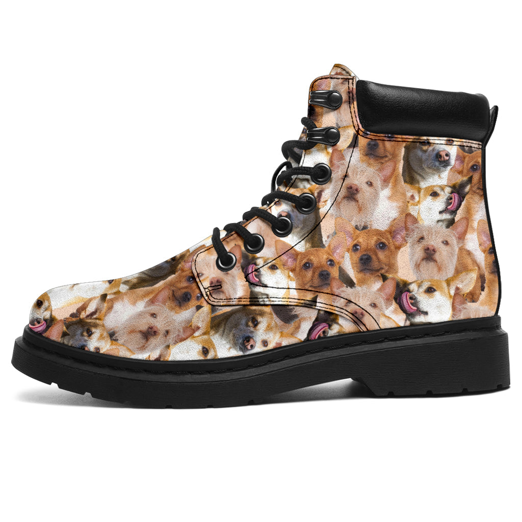 Portuguese Podengo Full Face all weather boots