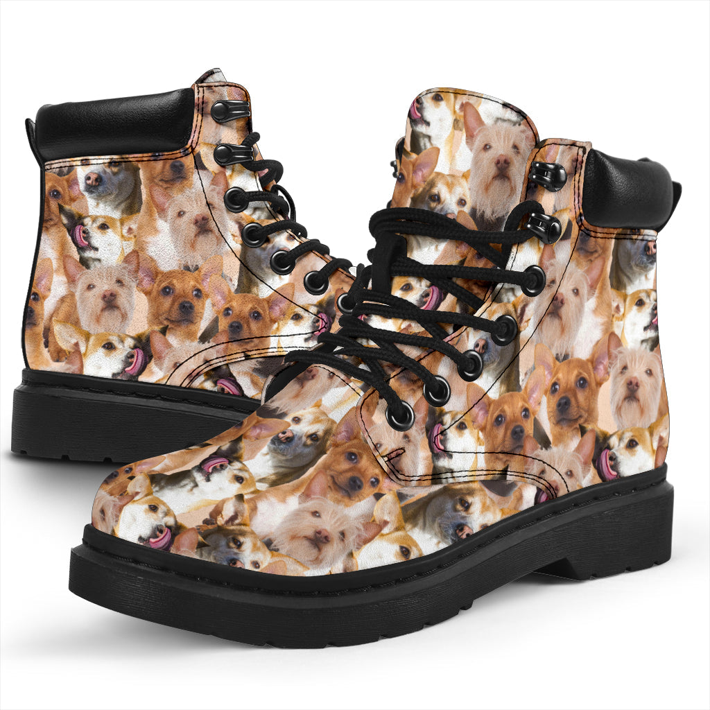 Portuguese Podengo Full Face all weather boots