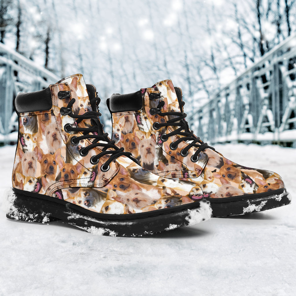 Portuguese Podengo Full Face all weather boots